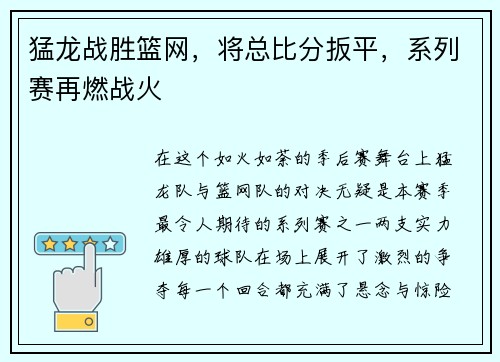 猛龙战胜篮网，将总比分扳平，系列赛再燃战火